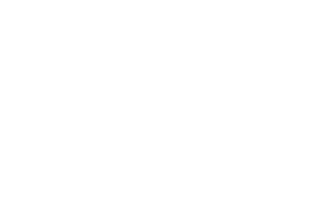 French Burger